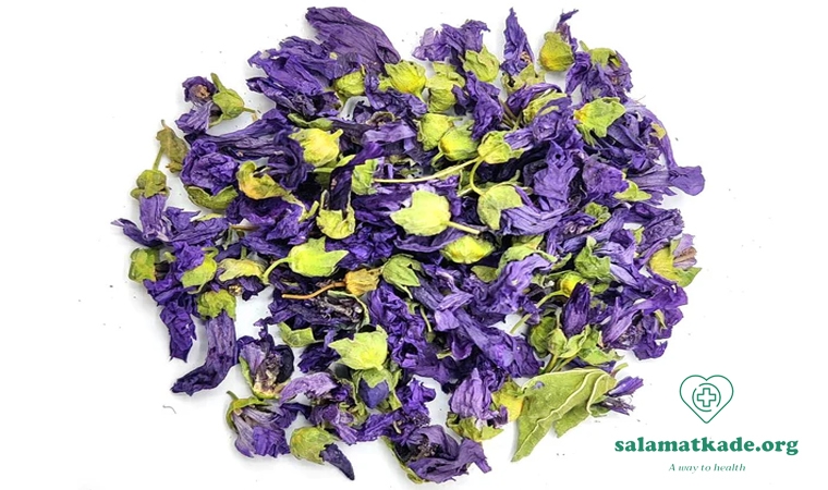 خواص گیاه پنیرک Malva-Sylvestris