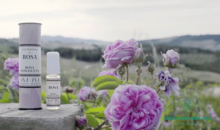 خواص اسانس گل محمدی در عطرسازی و داروسازی