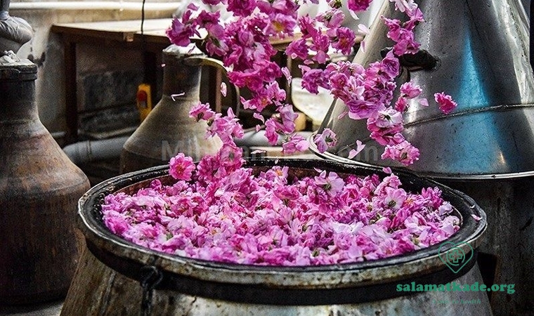 گلاب گیری کاشان