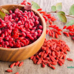 خواص زرشک در طب سنتی و نوین