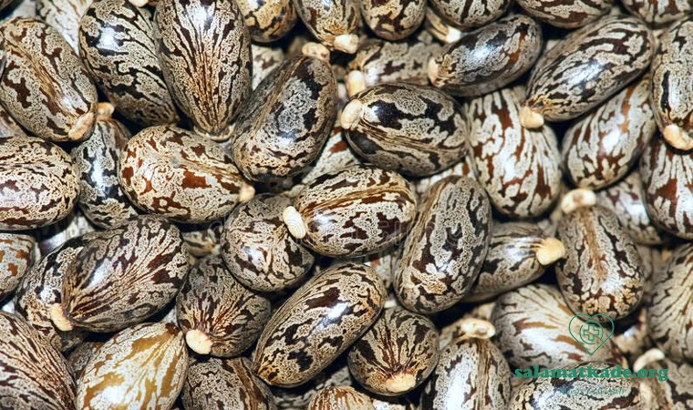 خواص روغن کرچک برای پوست و مو