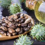 خواص روغن کرچک برای پوست و مو