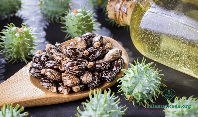 خواص روغن کرچک چیست؟