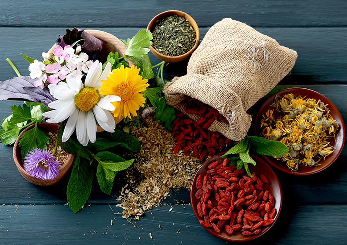 تاریخچه طب سنتی ایران