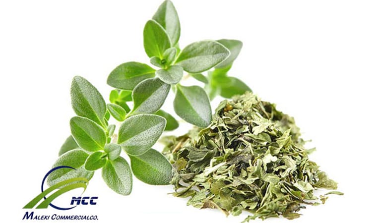 آویشن برای درمان آسم