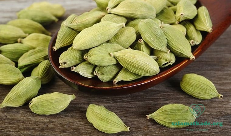 خواص هل در طب سنتی