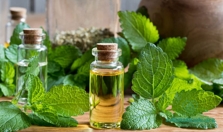 بادرنجبویه برای تقویت حافظه