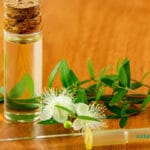خواص گیاه مورد برای پوست و مو