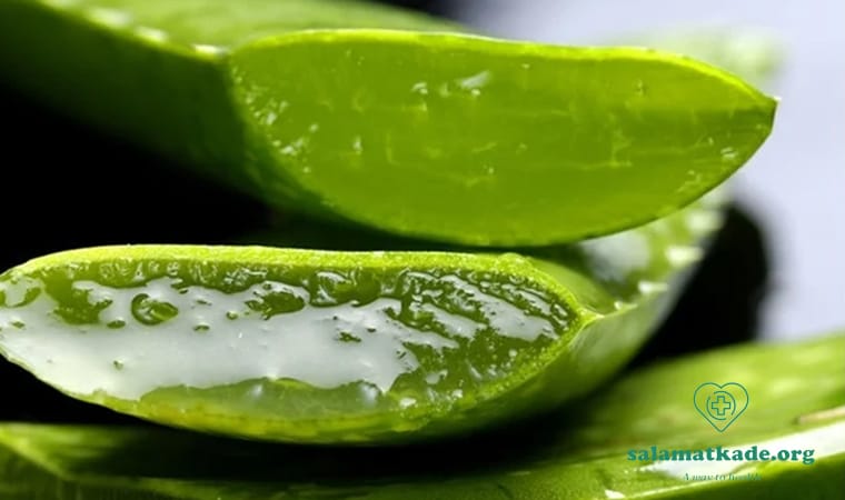 تاثیر گیاهان دارویی بر درمان سرطان