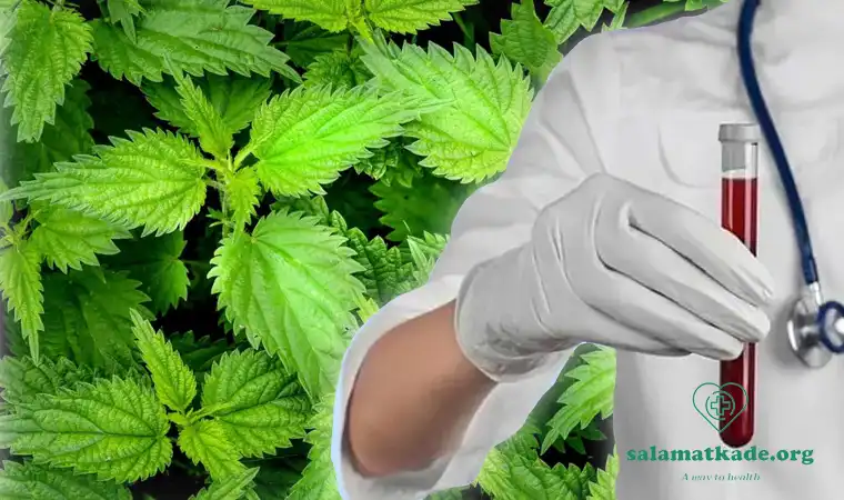 عرقیجات مفید برای کاهش غلظت خون