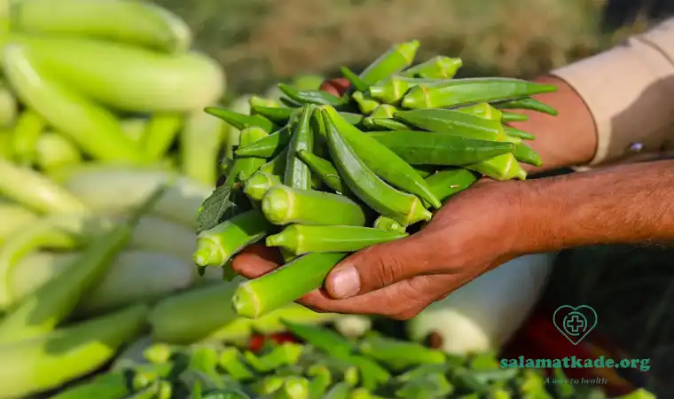 بهترین غذاها برای مزاج صفراوی 