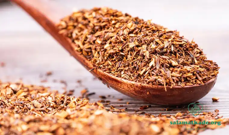 خواص چای رویبوس چیست
