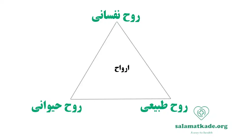 7 رکن اصلی در طب سنتی چیست؟ ارواح