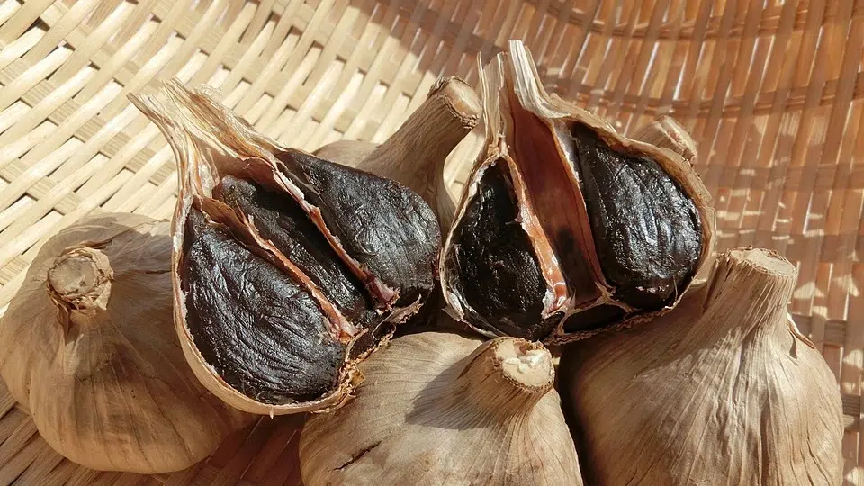 خواص سیر سیاه: گنجینه‌ای از سلامت در یک خوراکی کوچک