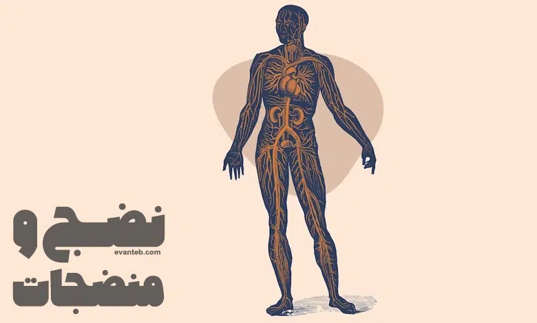 نضج در طب سنتی