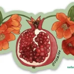 خواص پوست انار برای رحم