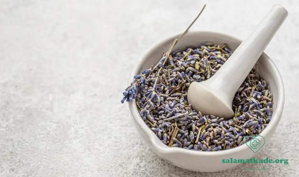 کاهش استرس فوری با راهکارهای طب سنتی و گیاهان دارویی مانند اسطوخودوس