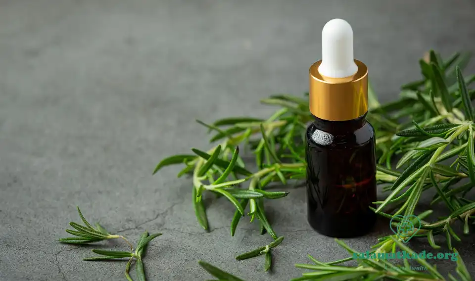 روغن درخت چای برای چی خوبه ؟