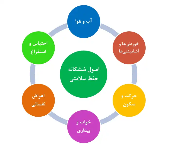 سته ضروریه