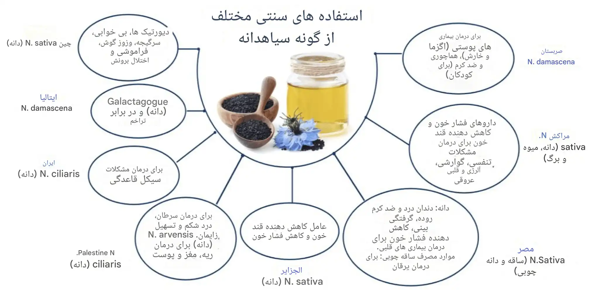 روغن سیاه دانه