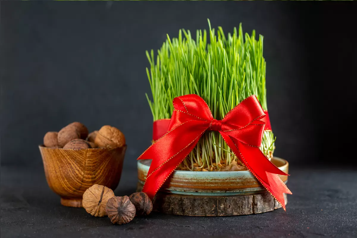 هدیه نوروزی با طعم طب سنتی: پکیج نوروزی ترنجان