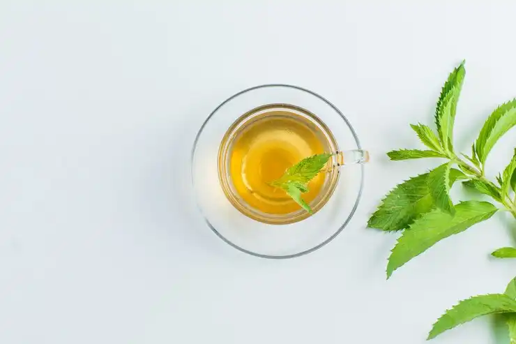 چای پونه