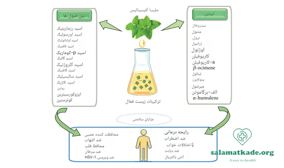 خواص بادرنجبویه 