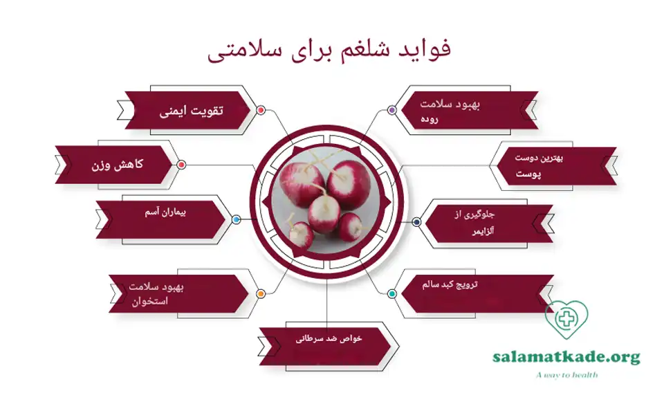 خواص شلغم در طب سنتی