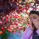 درمان حساسیت فصلی در بهار با طب سنتی