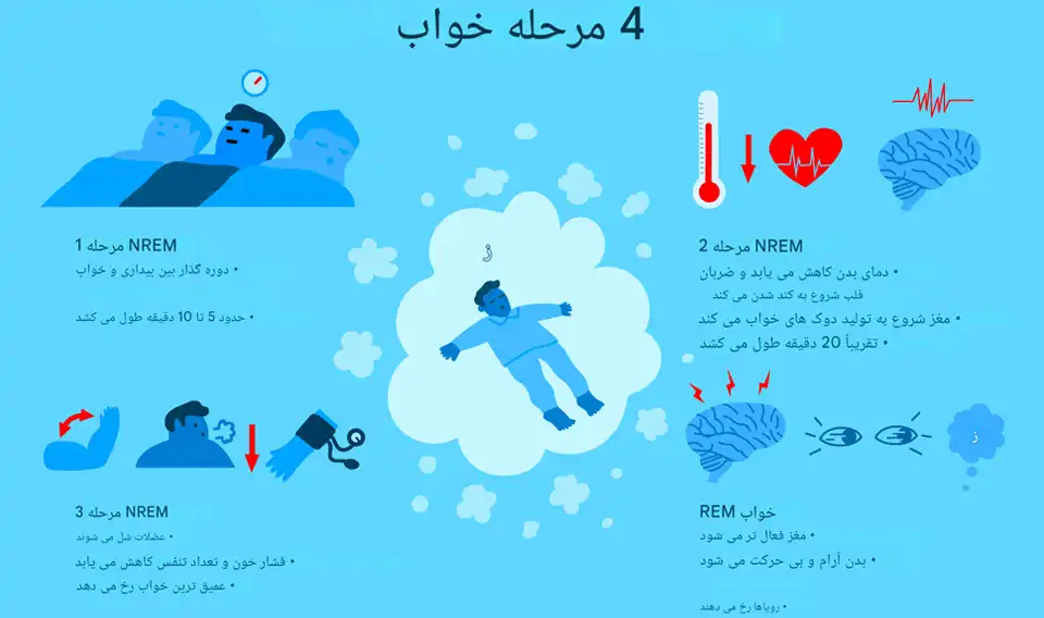 مراحل خواب
