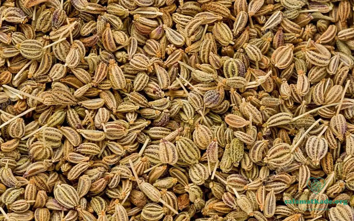 خواص زنیان برای کاهش وزن و گوارش