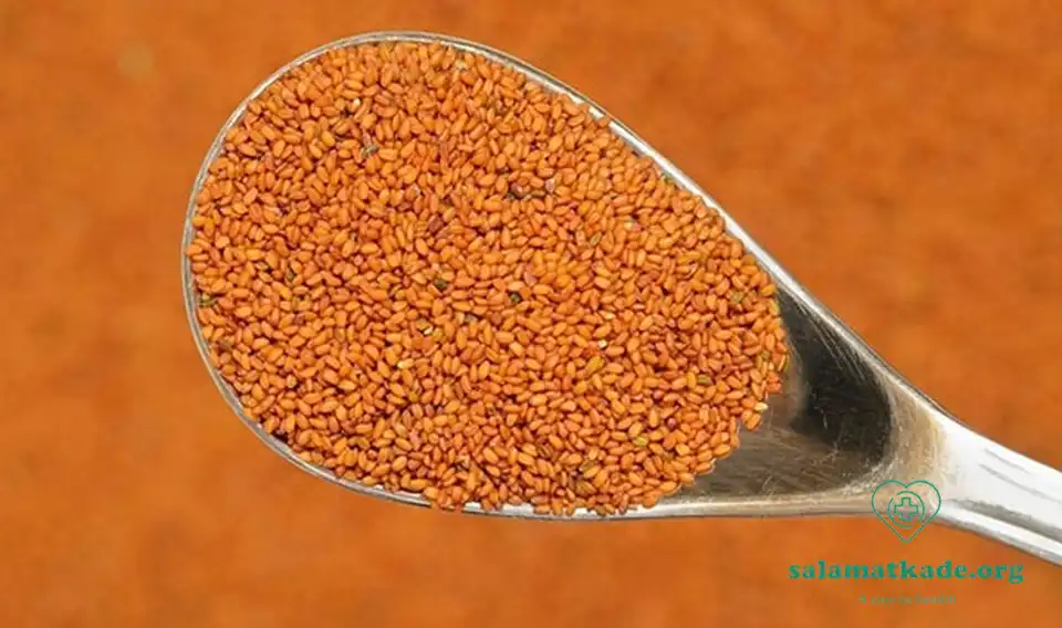 خواص خاکشیر جوشانده