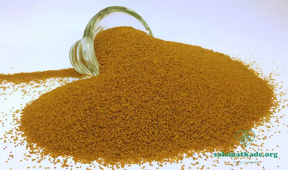 خواص خاکشیر جوشانده از نظر طب سنتی