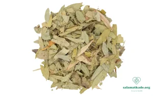 خواص برگ سنا برای یبوست و لاغری