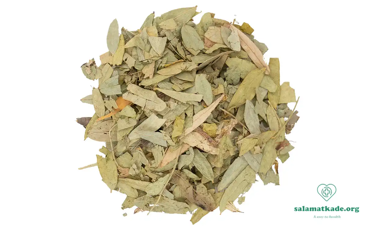 خواص برگ سنا برای یبوست و لاغری