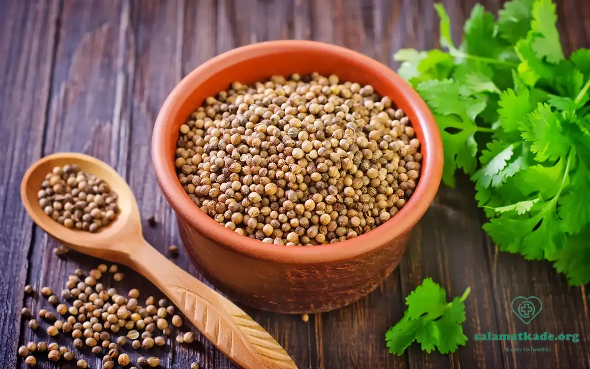 خواص تخم گشنیز و مضرات آن را بشناسید