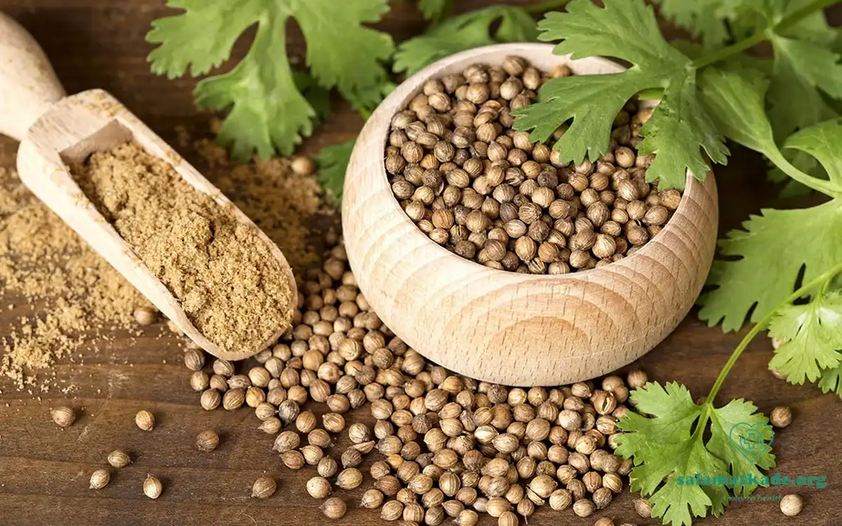 خواص تخم گشنیز و عوارض آن