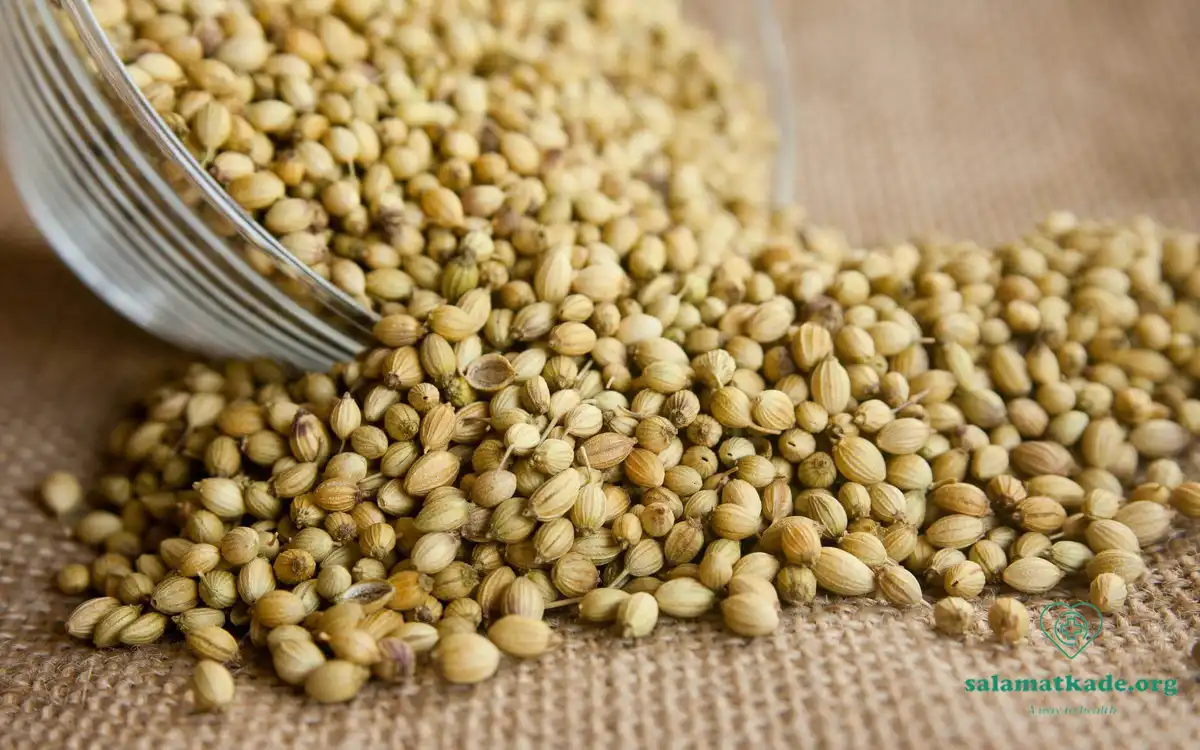 خواص تخم گشنیز و عوارض آن