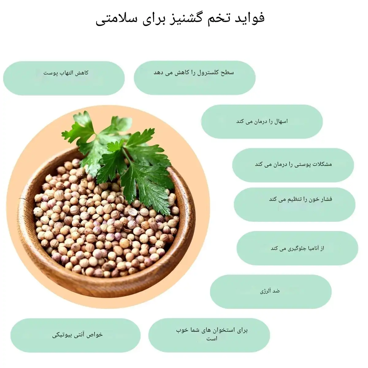 خواص تخم گشنیز و عوارض آن