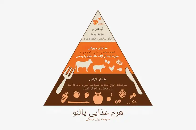 هرم غذایی رژیم پالئو