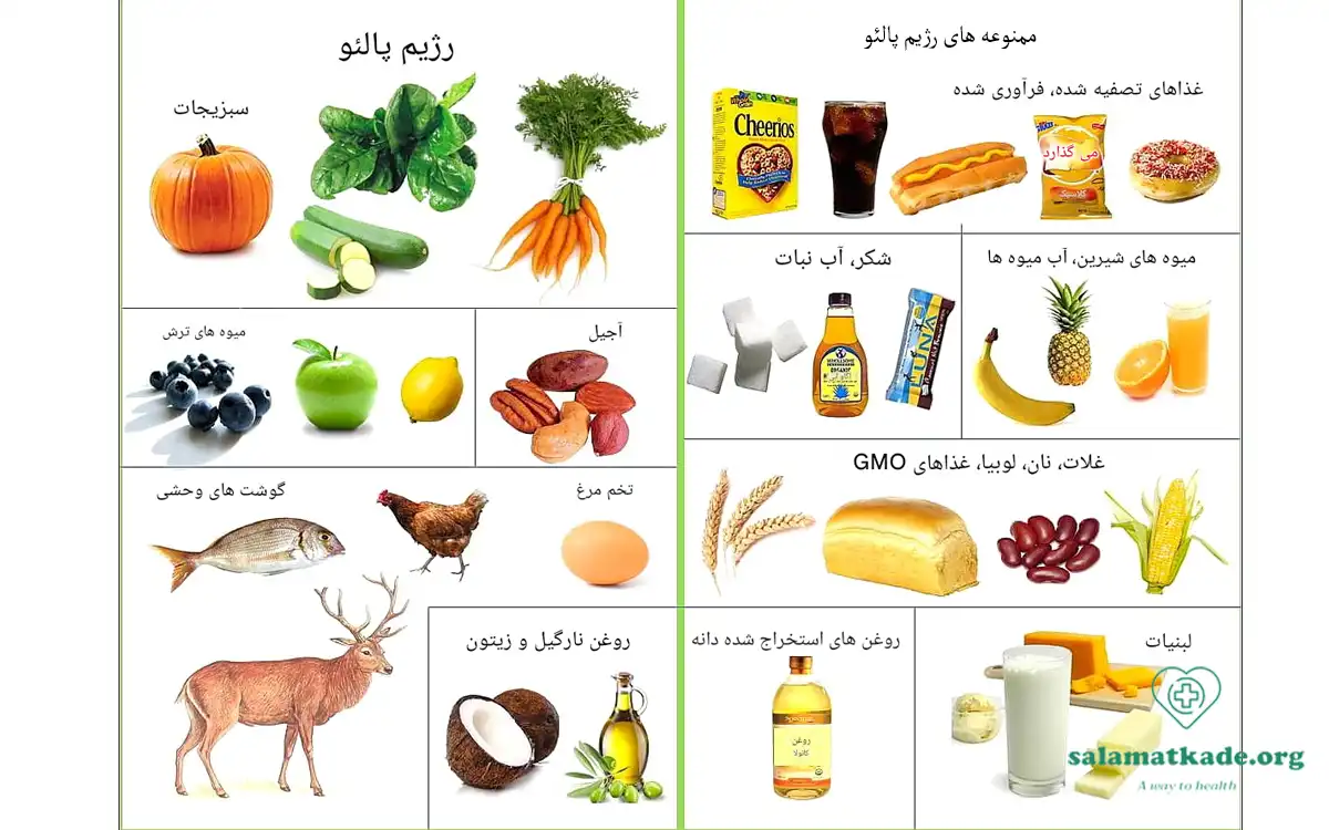 همه چیز درباره رژیم پالئو و نمونه رایگان آن