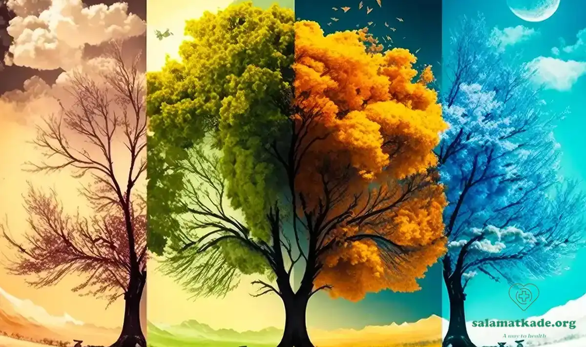 مزاج شناسی به سبک حکیم خیراندیش