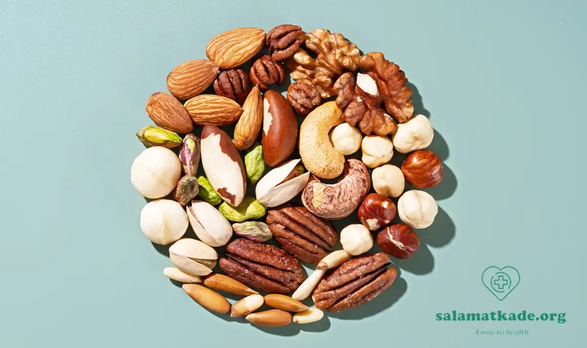 بهترین آجیل برای شما کدام است؟ مزاج آجیل ها و مصلحات