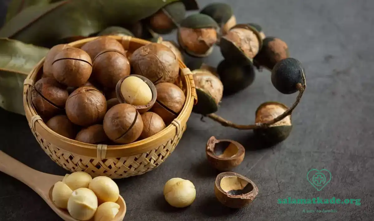مزاج ماکادمیا و مصلحات آن