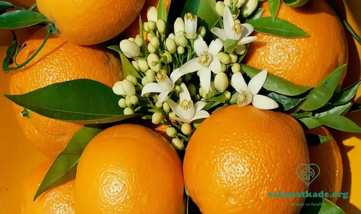 عرقیجات گیاهی بهار نارنج 