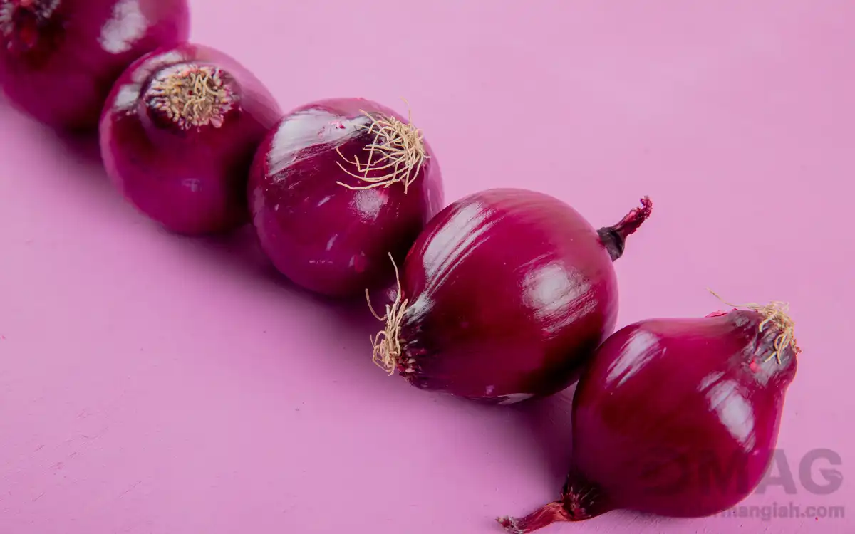 خواص پیاز در طب سنتی
