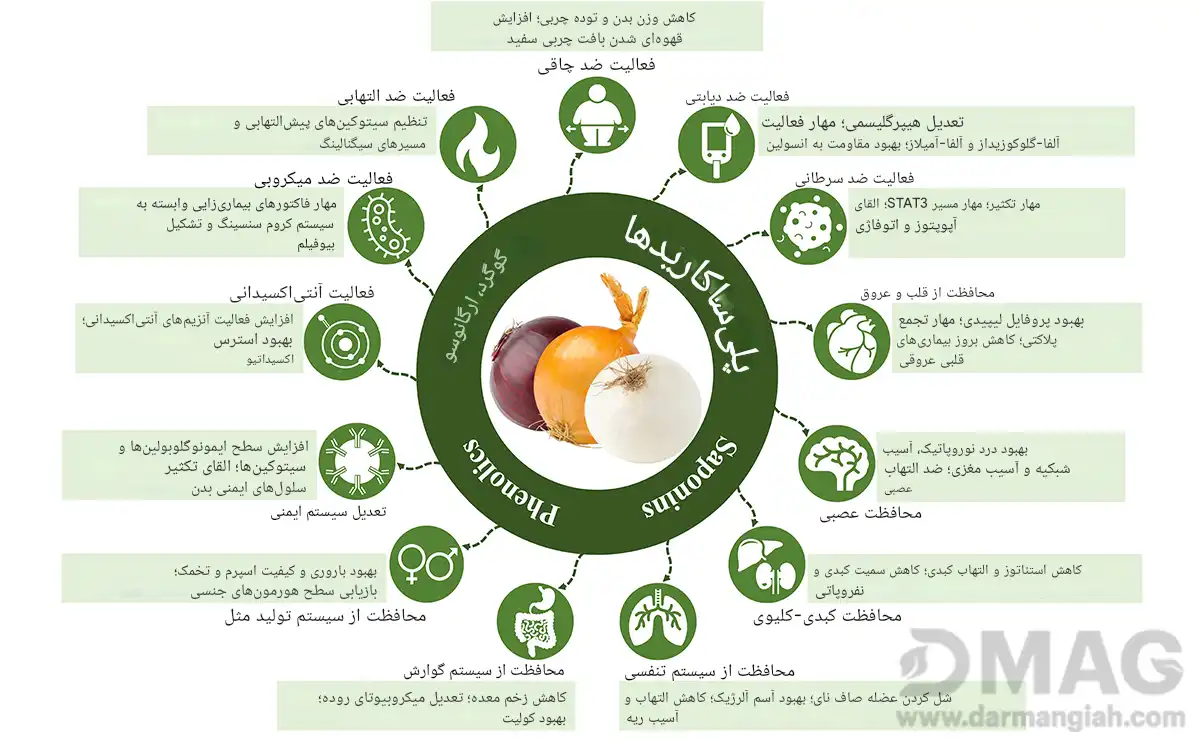خواص پیاز در طب سنتی