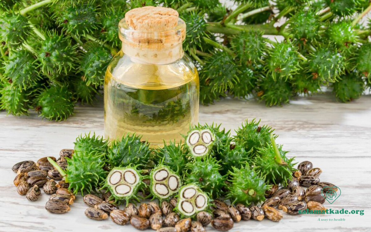 طرز استفاده روغن کرچک برای پوست و مو