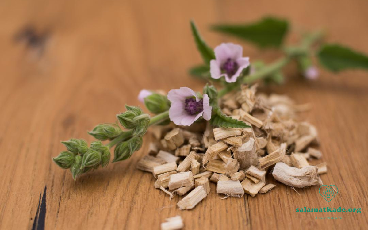 گل ختمی برای سرفه