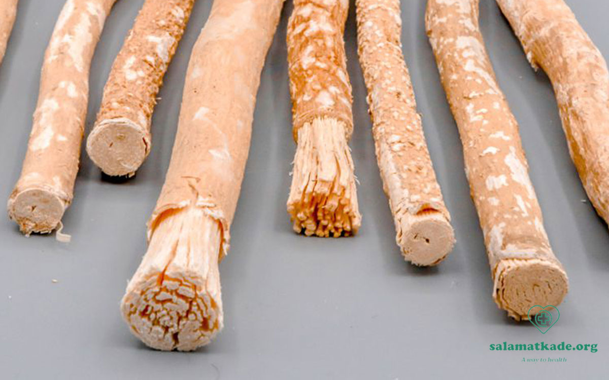چوب مسواک روتین مراقبت از دندان و لثه